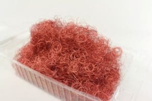 Engelshaar Rot 90018-50-123 -