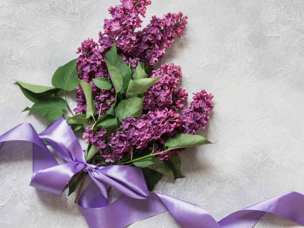 Mit einer Satinbandschleife werden Gartenblumen zum schönen Geschenk - satinband, floristik