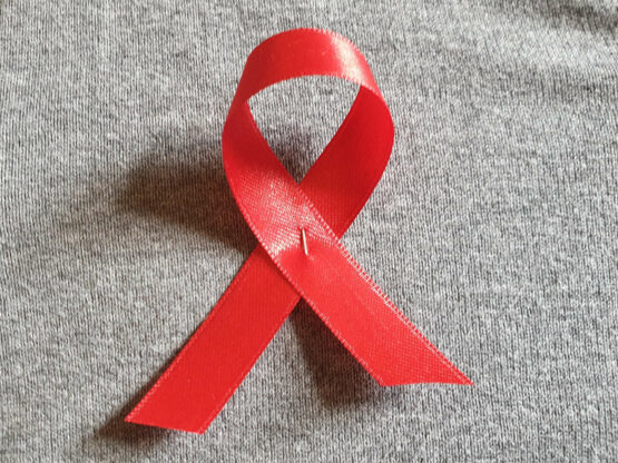 Aids-Schleife - rote Schleife - Awareness Ribbon rot, 10 Stück - reversschleifen